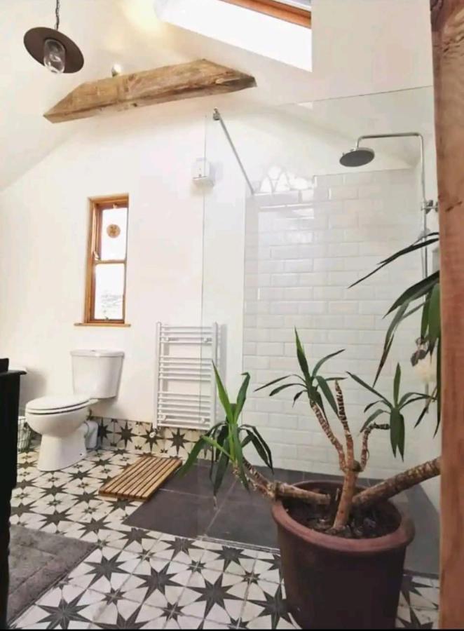 Ferienwohnung The Carton Store Loft Apt Cork Exterior foto